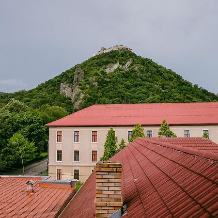 Pensiunea Vila Europa Deva Exterior foto