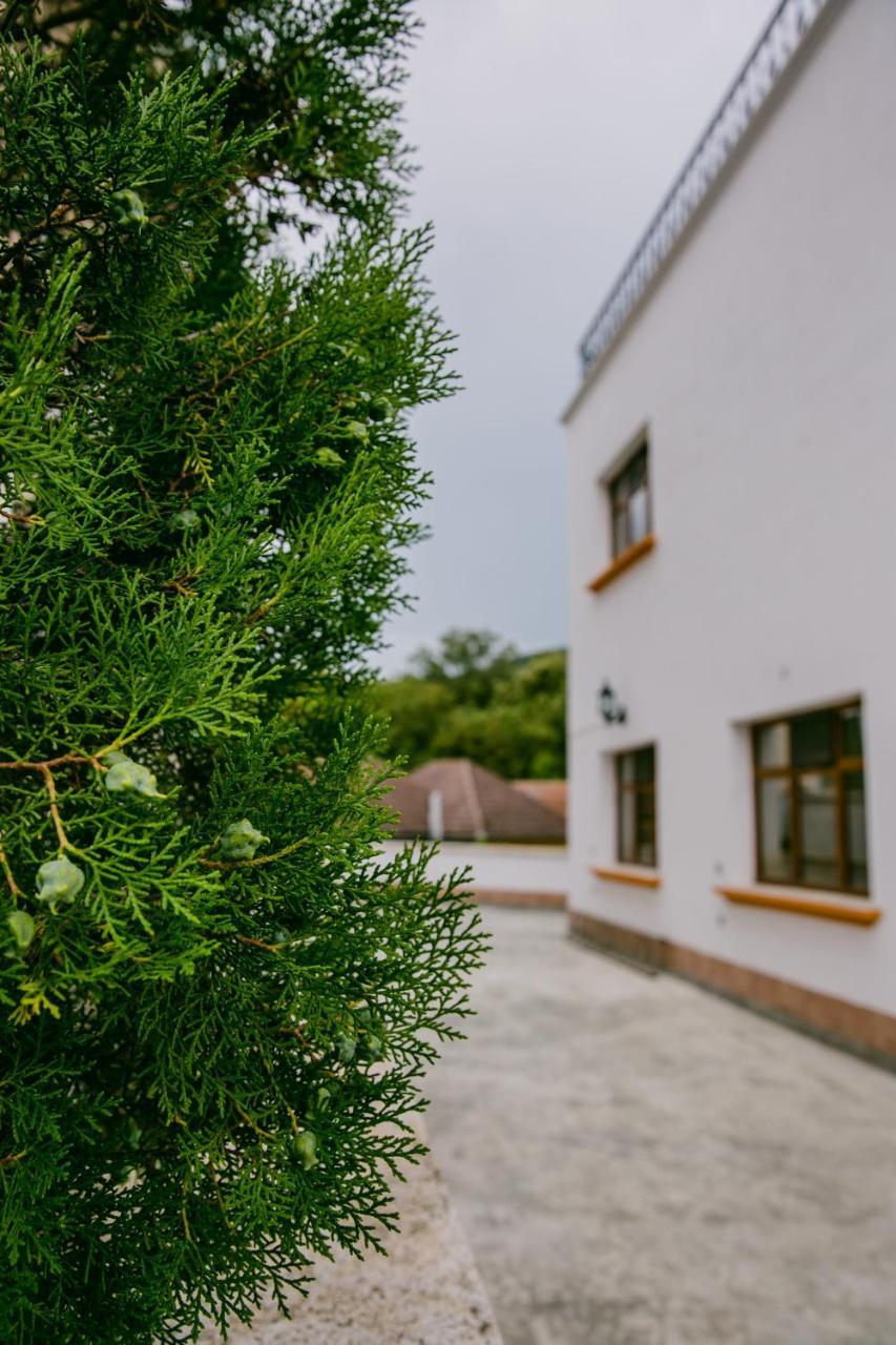 Pensiunea Vila Europa Deva Exterior foto