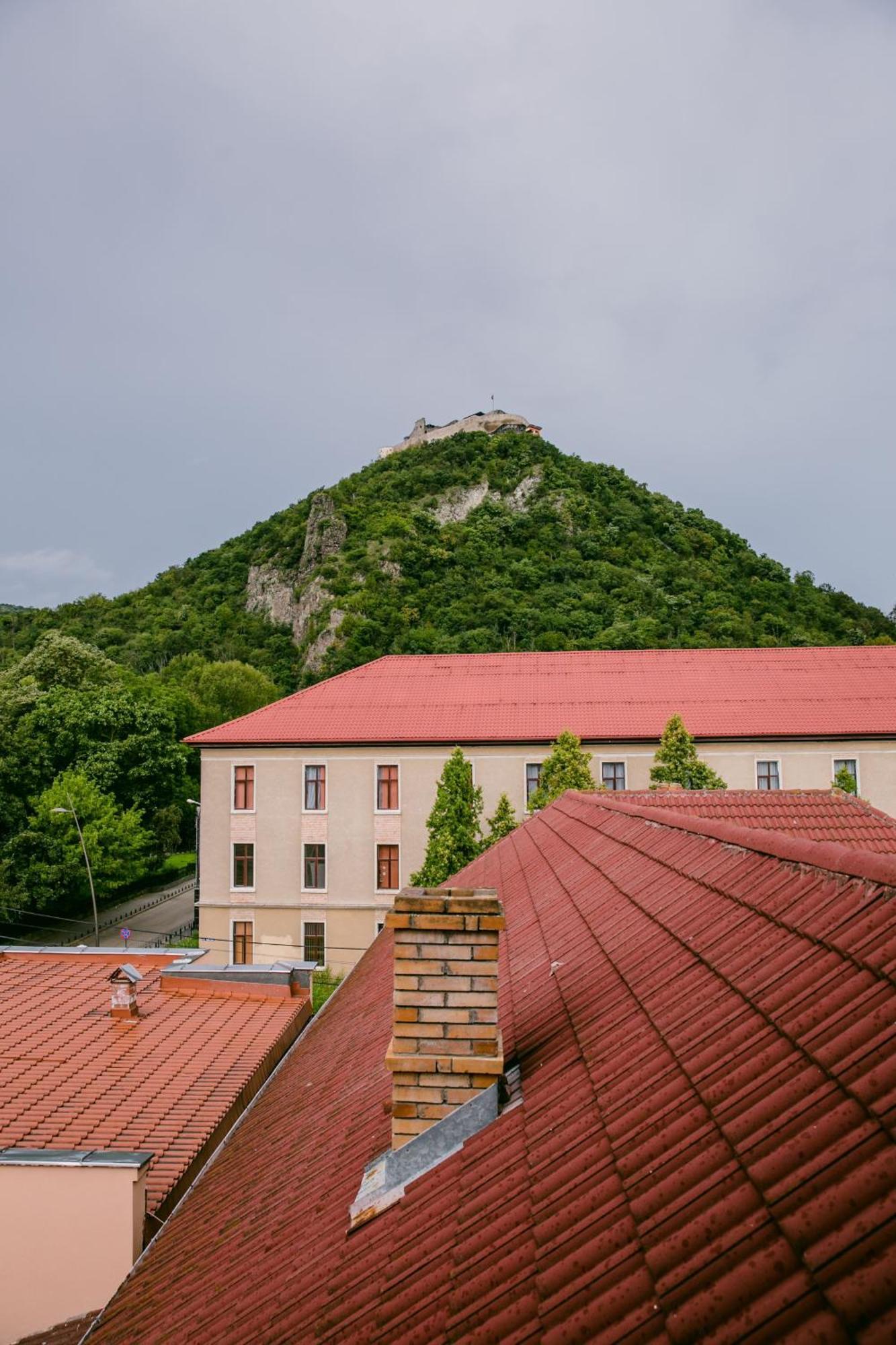 Pensiunea Vila Europa Deva Exterior foto