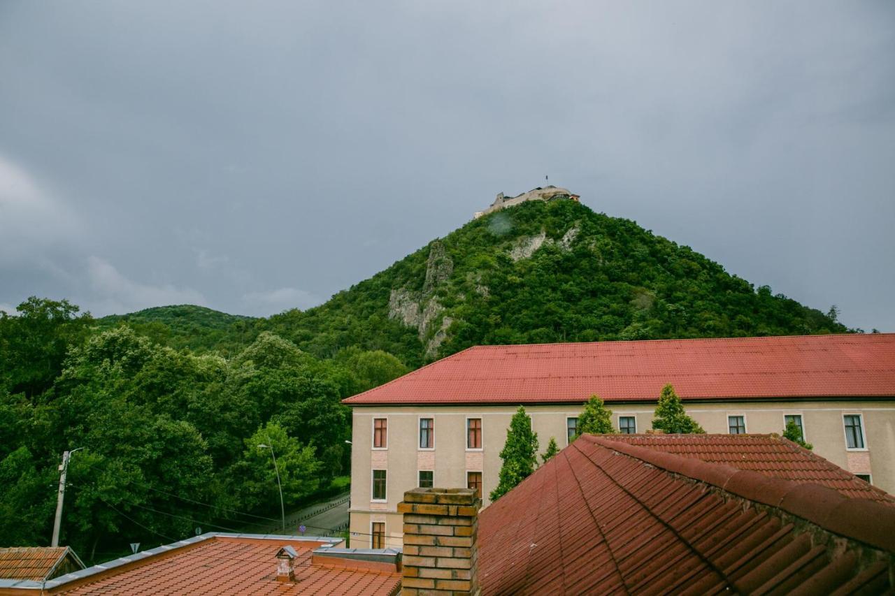 Pensiunea Vila Europa Deva Exterior foto
