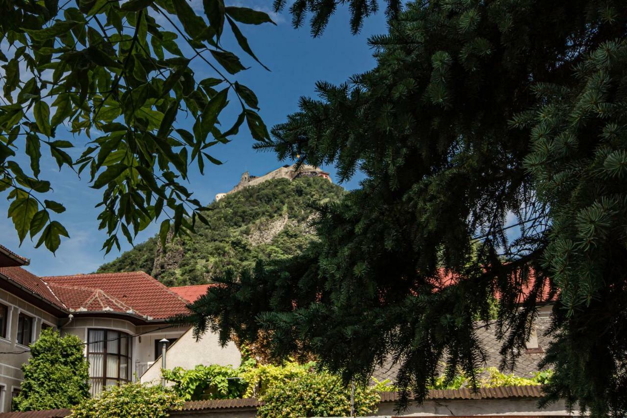 Pensiunea Vila Europa Deva Exterior foto