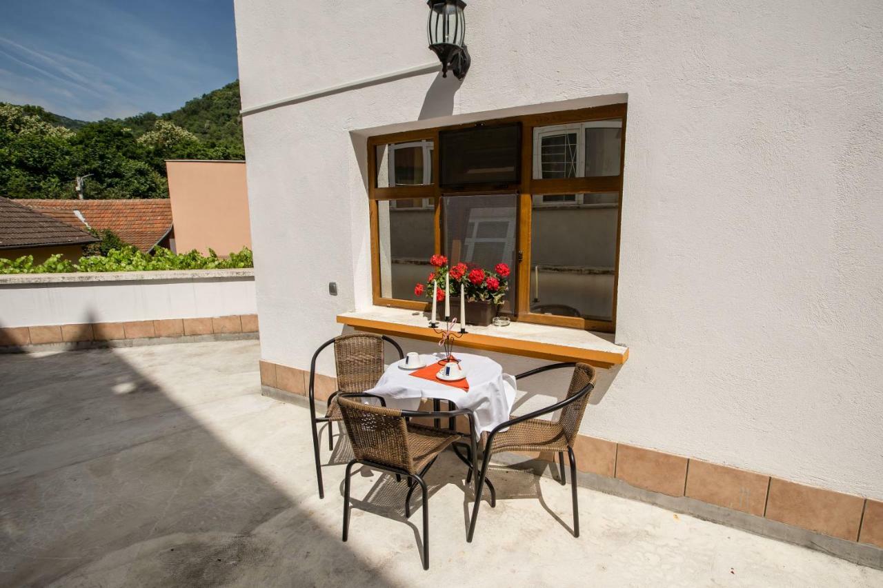 Pensiunea Vila Europa Deva Exterior foto